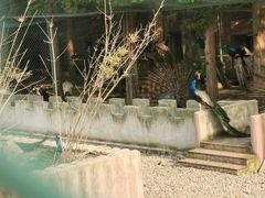 -南京金牛湖风景区