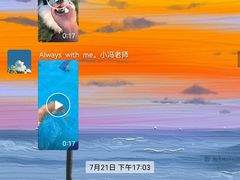 -趣玩宠物乐园寄养训犬训狗游泳池