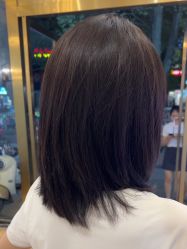 -YESIDO椰岛造型