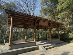 -杭州半山国家森林公园