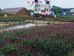 -北纬44度·金珠花海休闲农业旅游景区