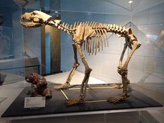 -北京周口店北京人遗址博物馆