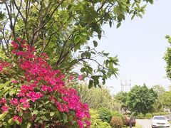 -广州从化都喜泰丽度假酒店温泉