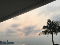 -万绿园