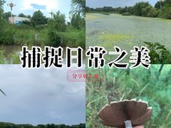 -蒲河岛湿地公园