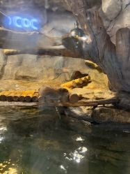 -Zoolung Zoolung动物主题公园(海信广场店)