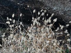 -江西龙虎山景区