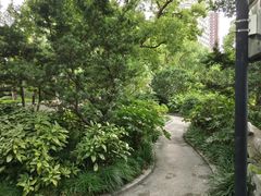 -兰溪青年公园