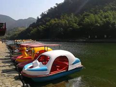 -芦茨金富饭庄·25年老字号·专做稻草鸡