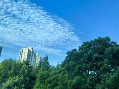 -上海中谷小南国花园酒店