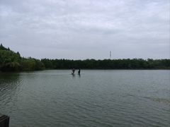 -溱湖国家湿地公园