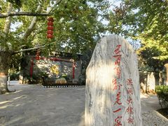 -大槐树寻根祭祖园