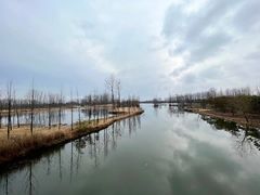 -溱湖国家湿地公园