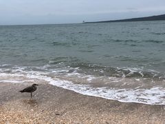 -Movenpick Newmarket