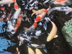 -贵阳高新惠诚食品有限公司