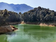 -广州市流溪河国家森林公园