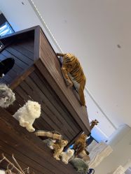 -IMON·HANSA潮玩玩偶毛绒玩具(通州万象汇店)