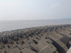 -碧海金沙