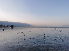 -大理洱海