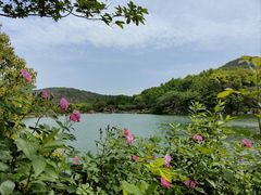 -白马涧龙池景区