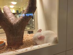 -龙猫仔乐园(惠福东路店)