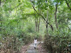 -九华秋浦胜境大王洞风景区