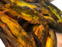 嘎牙子鱼-江湖水乡铁锅炖魚(周庄嘉园店)