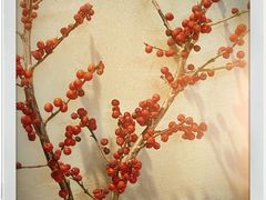 -明谦·Coffee&Cocktail Bar(美您公园店)