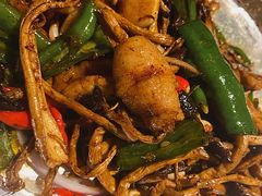 茶树菇炒鱿鱼-桂满陇-十里风荷(合生汇店)