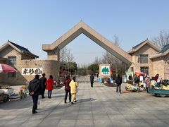 -水杉园