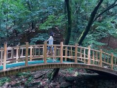 -本溪汤沟绿石谷森林公园