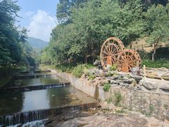 -广州白江湖森林公园