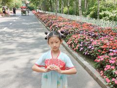 -黑龙江省森林植物园