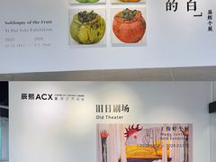 -辰熙ACX星海艺术中心