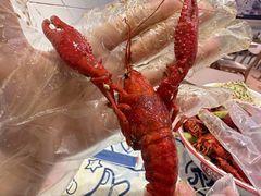 -松哥油焖大虾.小龙虾.黑鸭煲(海岸城店)