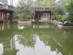 -广州神农草堂中医药博物馆