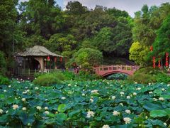 -广州莲花山旅游区