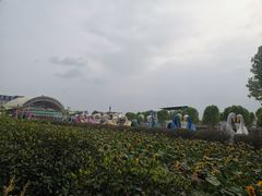 -百万葵园