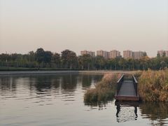 -郑东新区龙湖公共艺术中心