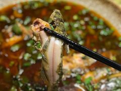 -院8里·少城记忆老川菜(宽窄巷子店)