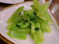 -椿不老