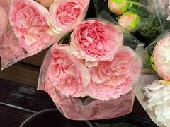 -优衣库(深圳万象天地旗舰店)