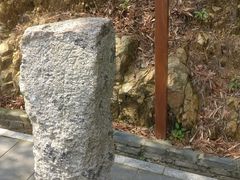 -羚羊峡古栈道森林公园