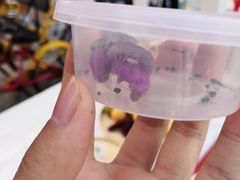 -米果果小镇