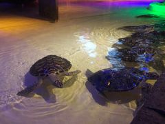 -西安华夏文旅水世界
