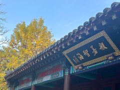 -护国法轮寺