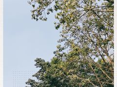 -四川大学(望江校区)