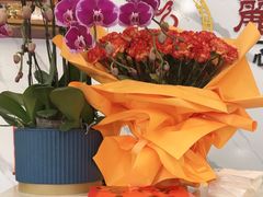 -丽泽山庄·生态怀柔菜·虹鳟鱼(红螺寺店)