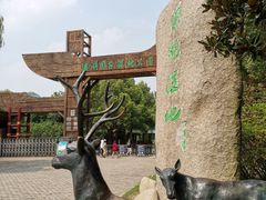 -溱湖国家湿地公园