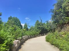 -府君山公园